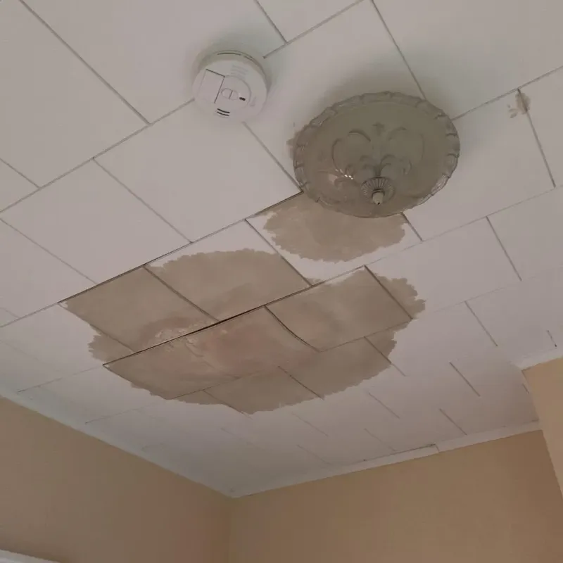 Ceiling Water Damage Repair in Mitchell County, KS