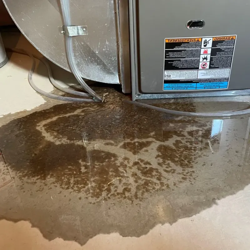 Pipe Burst and Leak Restoration in Mitchell County, KS