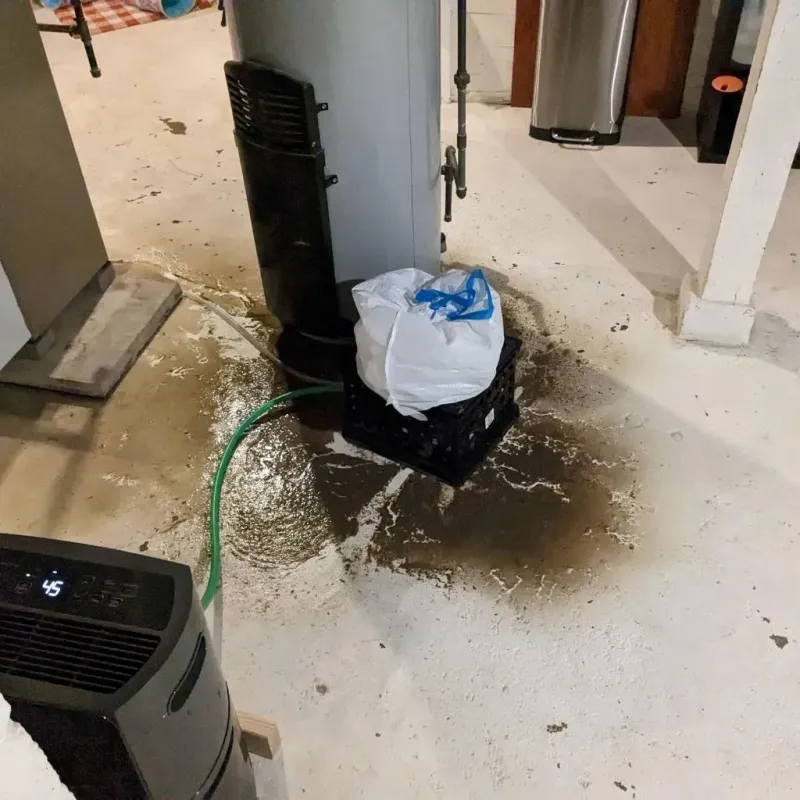 Sewage Backup Cleanup Service in Mitchell County, KS